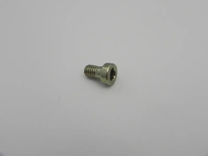(New) 356/911 M6x10 Panhead Screw - 1950-89 1