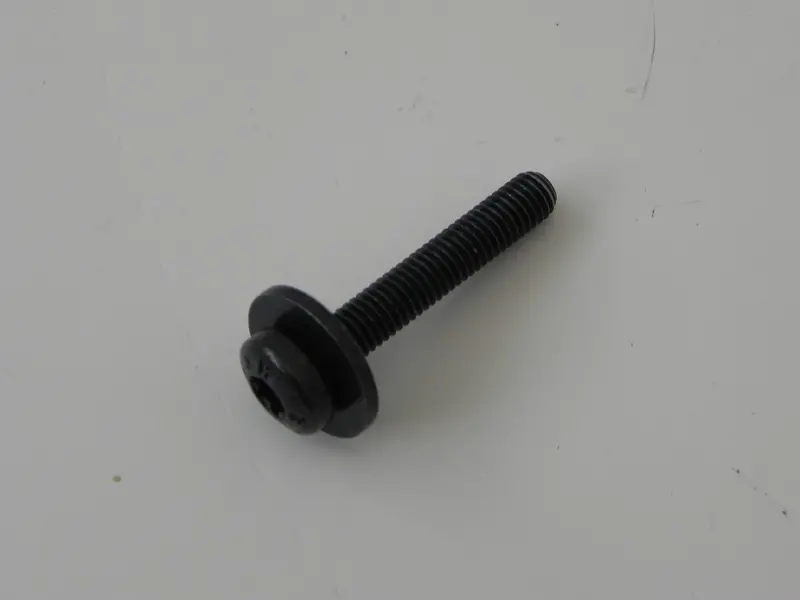 (New) 5 X 29 Oval Head Body Screw 1