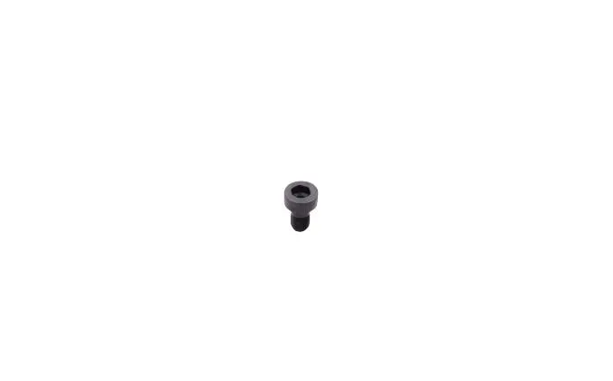 (New) 911/912 Quarter Window Frame Mounting Screw - 1965-77 1