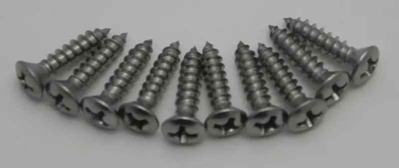 (New) 911 Carpet Trim Strip Screw Set - 1969-73 1