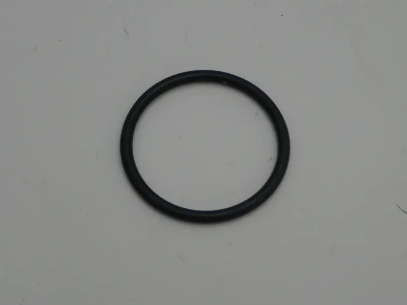 (New) 911 Fuel Filter O-Ring - 1974-89 1
