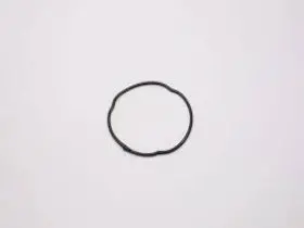 (New) Boxster/Cayman Thermostat Housing Seal - 2017-23 1