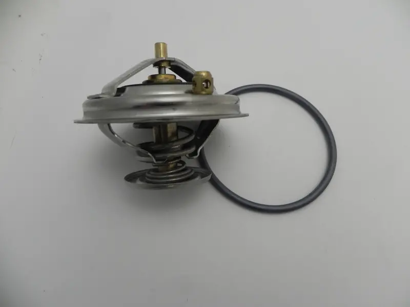 (New) Oem Cayenne Coolant Thermostat - 2004-06 1